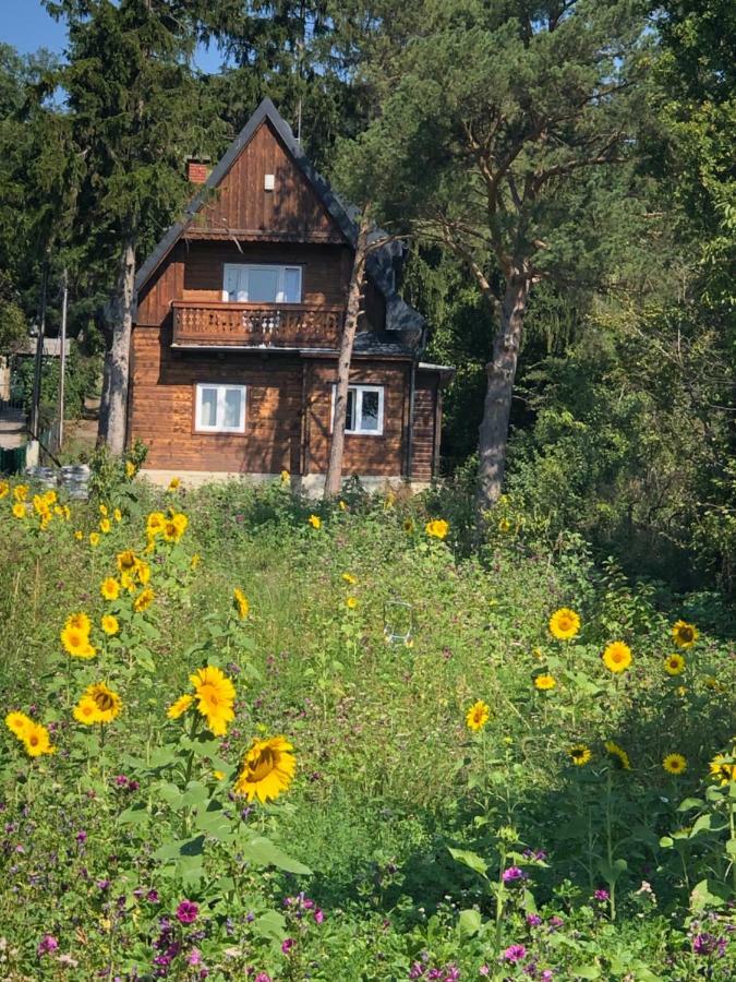 Vacationhome In The Vineyards * Wien